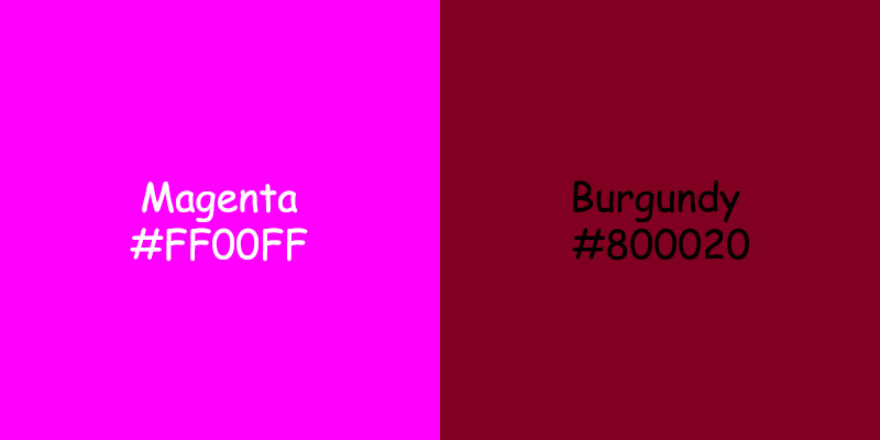 Magenta vs Burgundy: Understanding the Differences in Color Magenta vs Burgundy