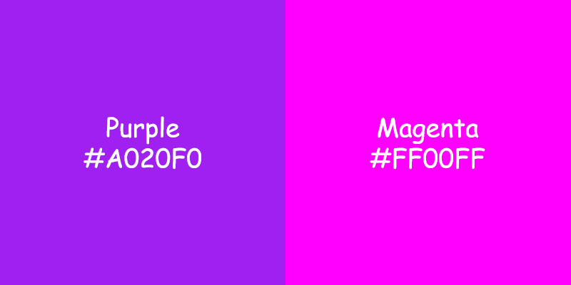 Purple vs Magenta: Exploring the Color Differences for Fashion Purple vs Magenta