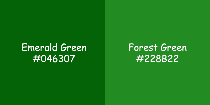 Emerald Green vs. Forest Green: Exploring Color Differences Emerald Green vs. Forest Green