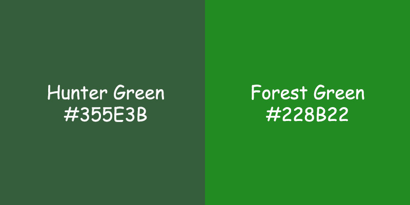 Hunter Green vs Forest Green: Comparing Colors for Fashion and Home Decor Hunter Green vs Forest Green