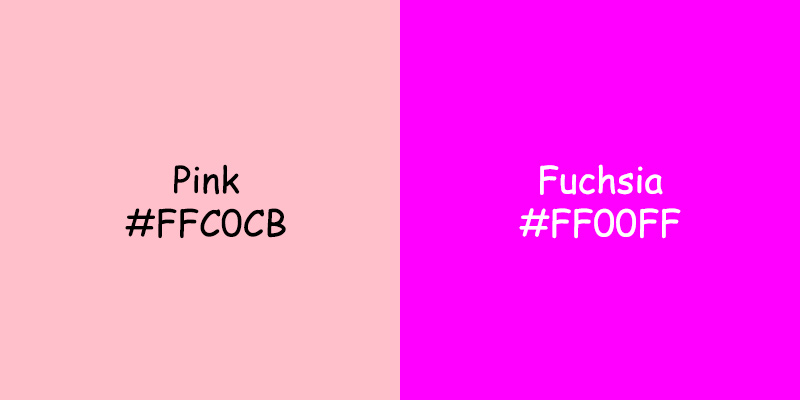 Pink vs Fuchsia: Exploring Color Differences Pink vs Fuchsia