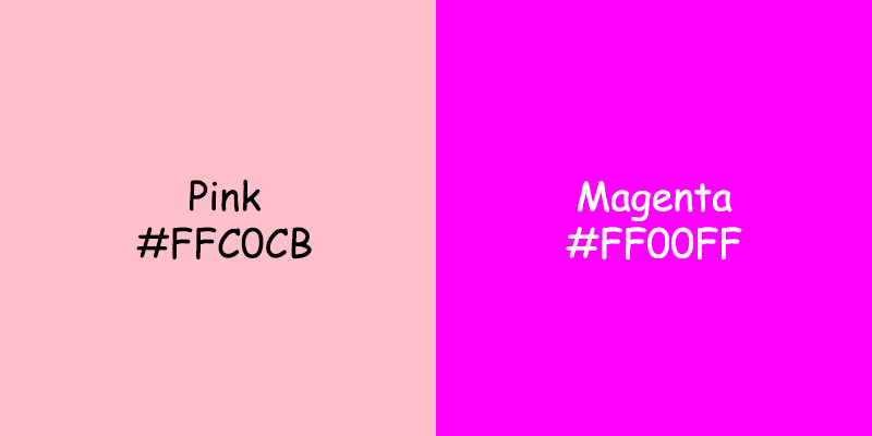 Pink vs Magenta: A Comparison of Colors Pink vs Magenta