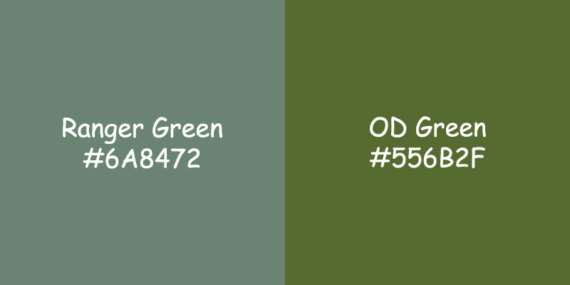 Ranger Green vs OD Green: Choosing Military Colors Ranger Green vs OD Green