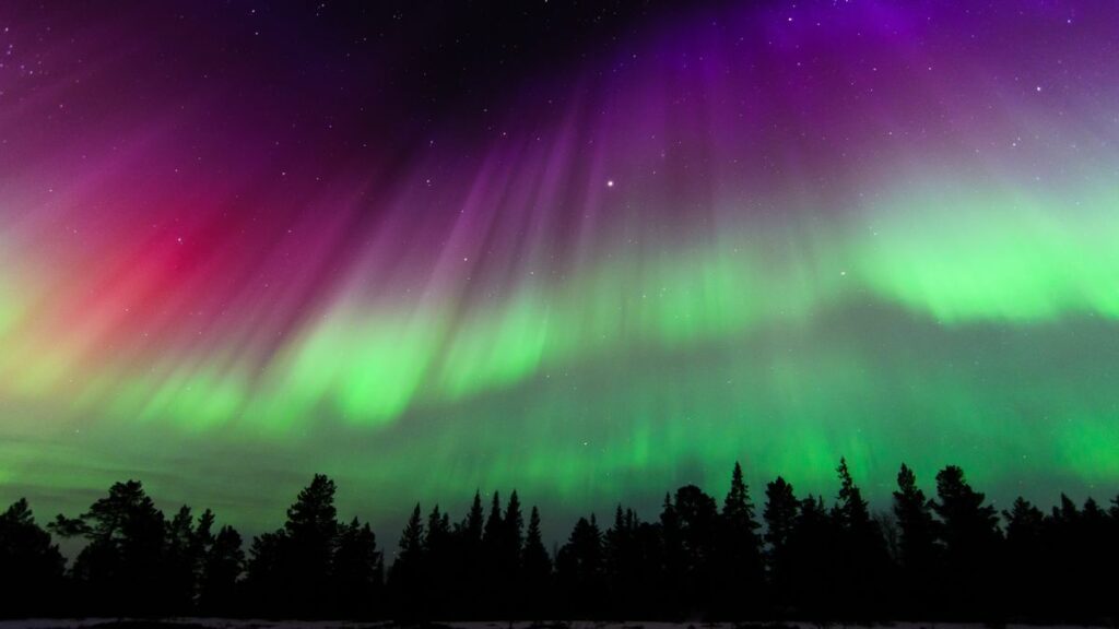 Things That Are Red and Blue: A Colorful Exploration Aurora colors: What causes them and why do they vary? | Space